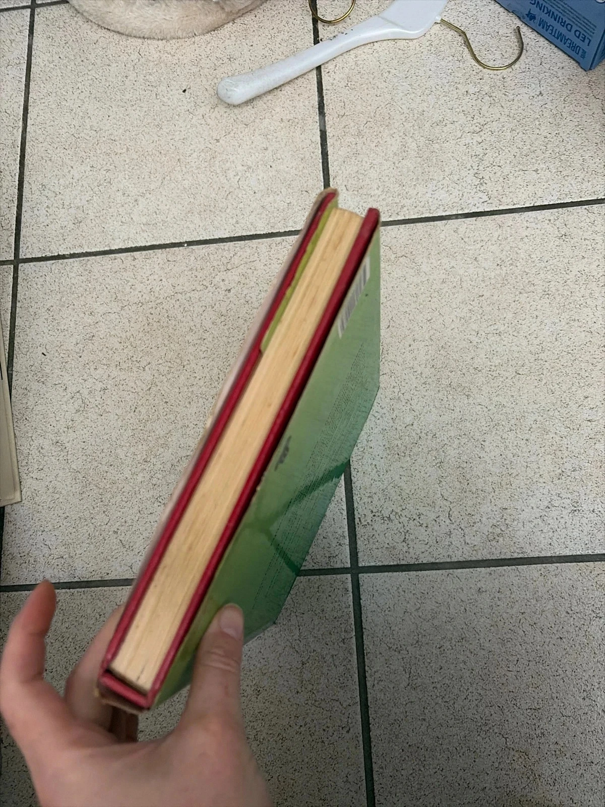 Boek hoe je je kamerplanten moet verzorgen – photo 4